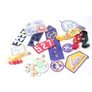 Scout Badges, Sash Patches, Pin Badges, Activity, Challenge, Ranks
